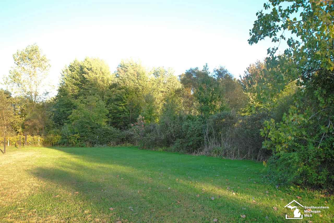 13003 Ida Center Road Ida, MI 48140 - Photo 32 of 47