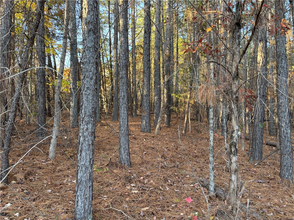 1940 Pleasant Hill Road, Unit LOT#2 Greer, SC 29651 - Photo 1 of 1