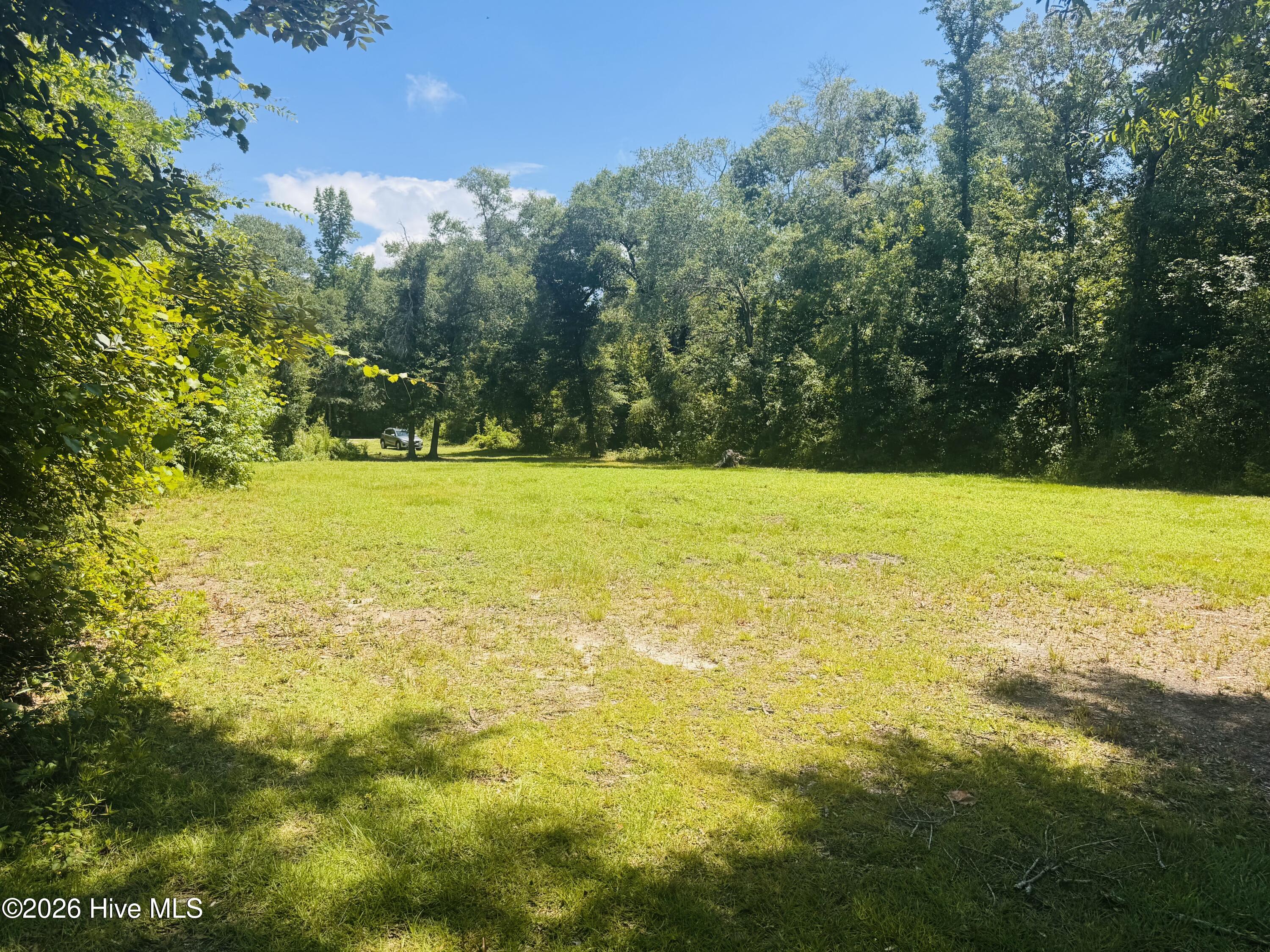 1042 Lake Cadeli Road Bartow, GA 30413 - Photo 9 of 17