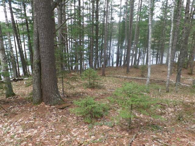 On On Inkpot Lane Land O'Lakes, WI 54540 - Photo 18 of 20 Gallery Image 18