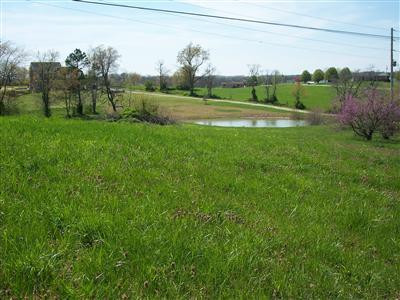 891 Pine Grove School Road London, KY 40744 - Photo 22 of 26 view from back
