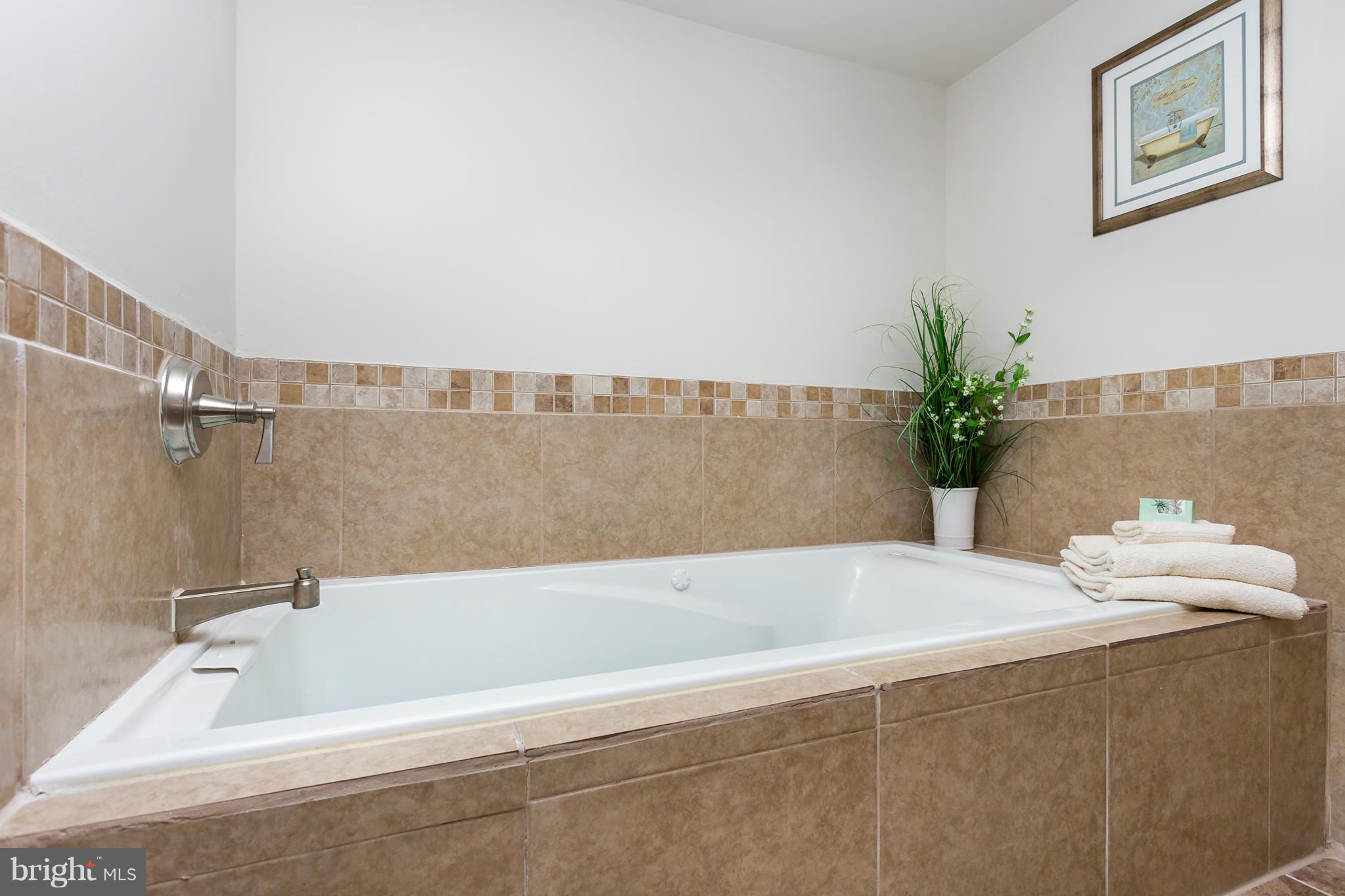 589 Truslow Road Fredericksburg, VA 22406 - Photo 4 of 29 Jetted Tub