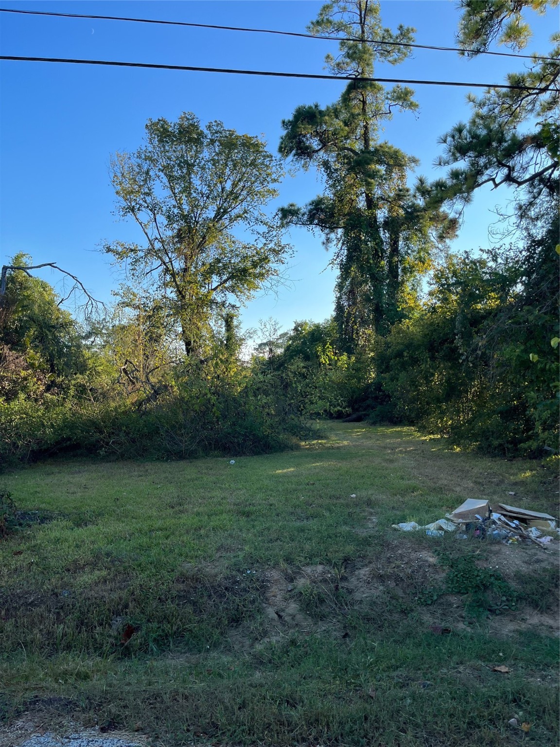 a view of a field of grass and trees