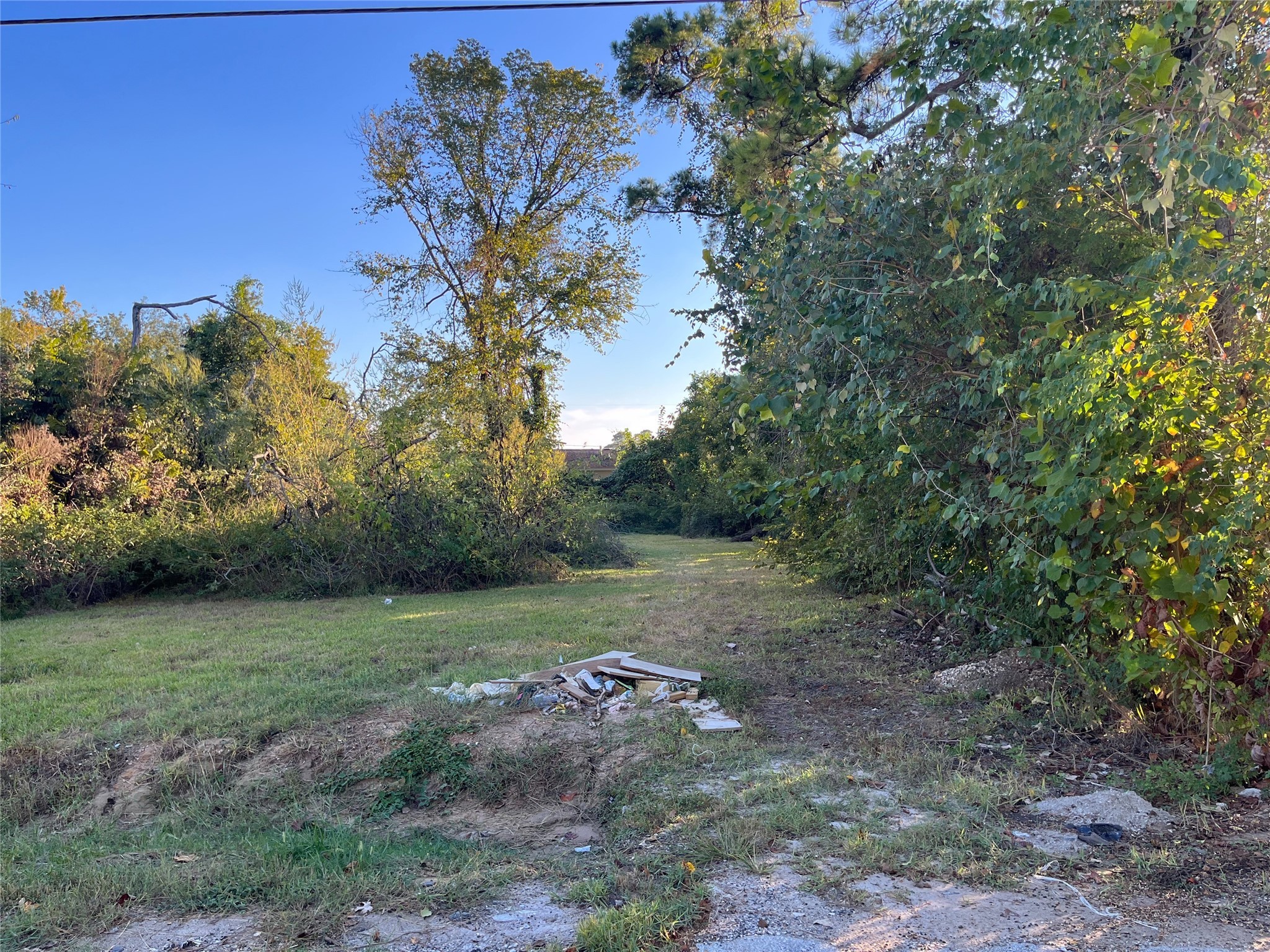6908 South Hall Street Houston, TX 77028 - Photo 5 of 6 a view of a field with an trees