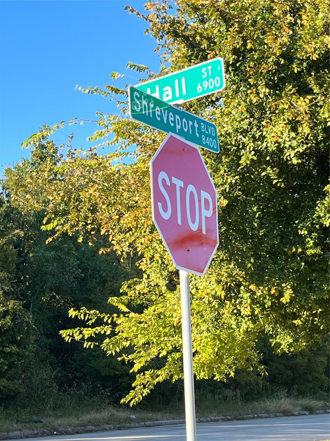 6908 South Hall Street Houston, TX 77028 - Photo 6 of 6