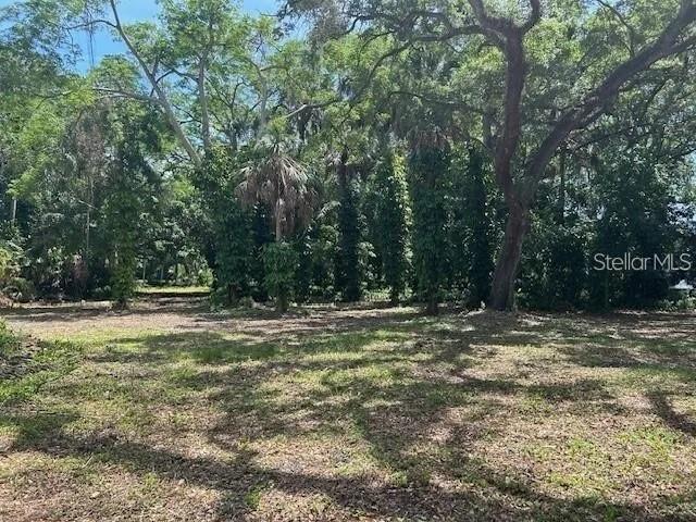 8704 Jackson Springs Road Tampa, FL 33615 - Photo 19 of 21 a view of a yard with a tree