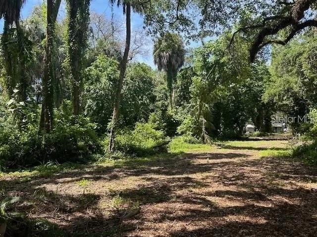8704 Jackson Springs Road Tampa, FL 33615 - Photo 20 of 21 a view of outdoor space with trees all around
