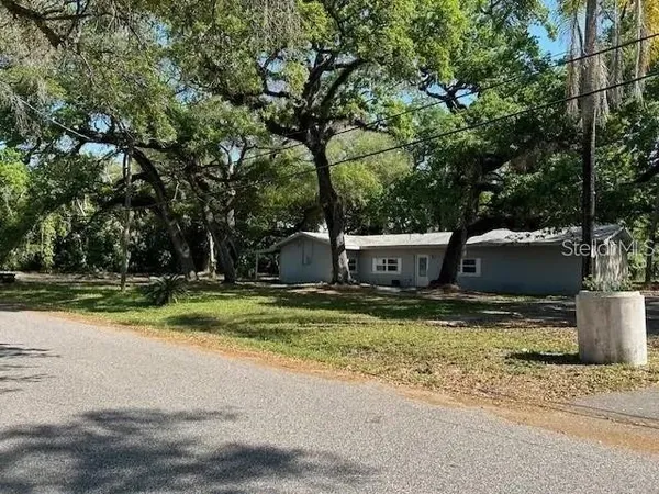 a backyard of a house with a yard and large tree