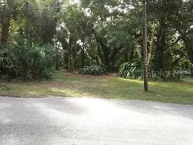 a view of a yard with large trees