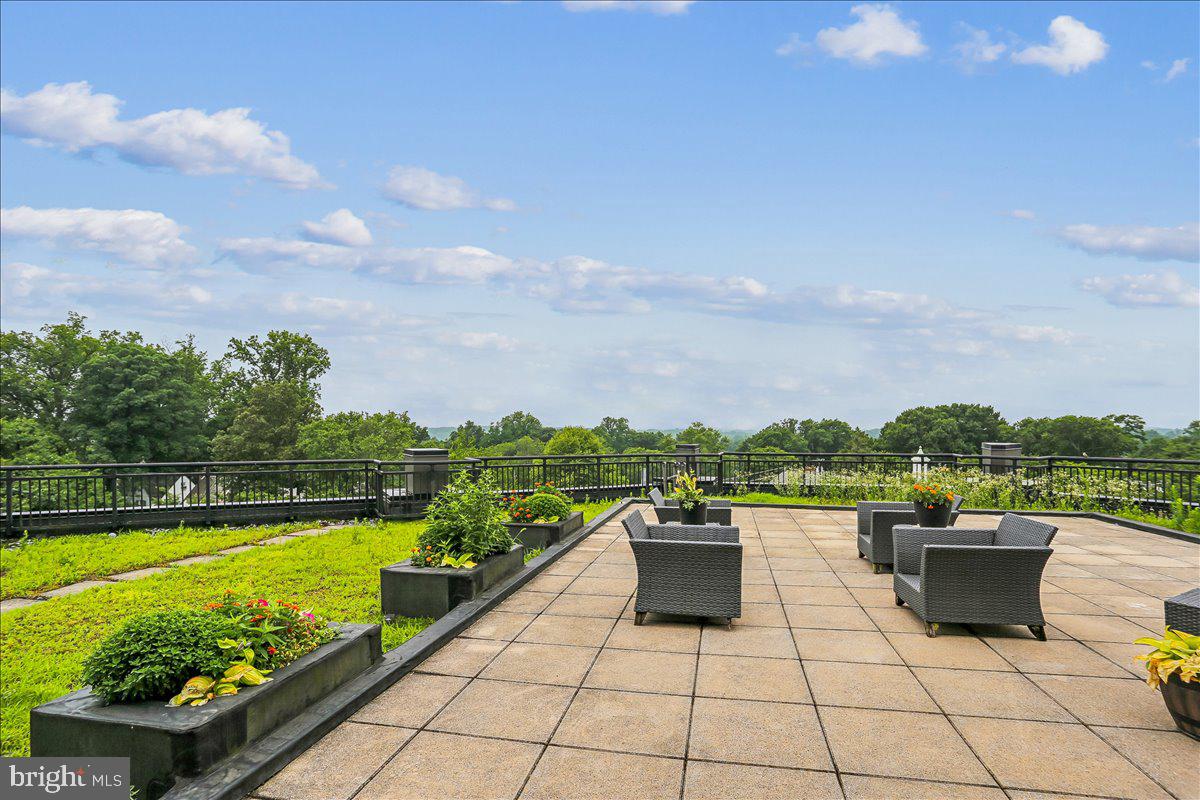 8005 13th Street, Unit 312 Silver Spring, MD 20910 - Photo 26 of 27 Rooftop