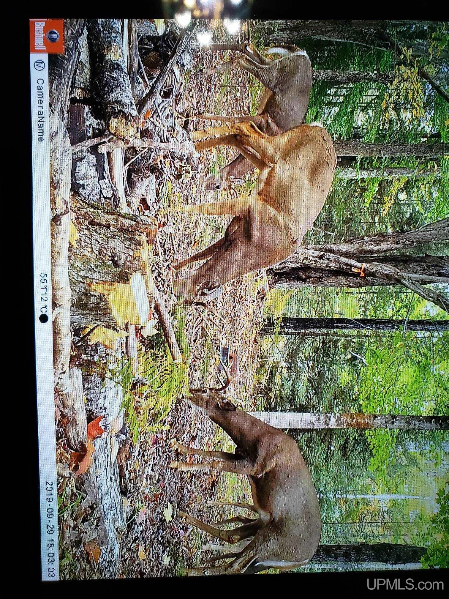 Tbd Tbd Stack Grade Little Lake Rock, MI 49880 - Photo 42 of 45