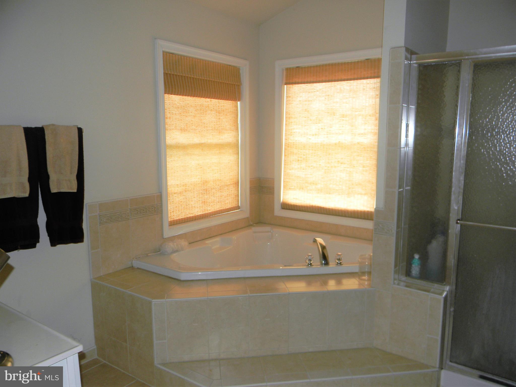 19972 Gleedsville Road Leesburg, VA 20175 - Photo 14 of 30 Bath (Master) Soaking Tub