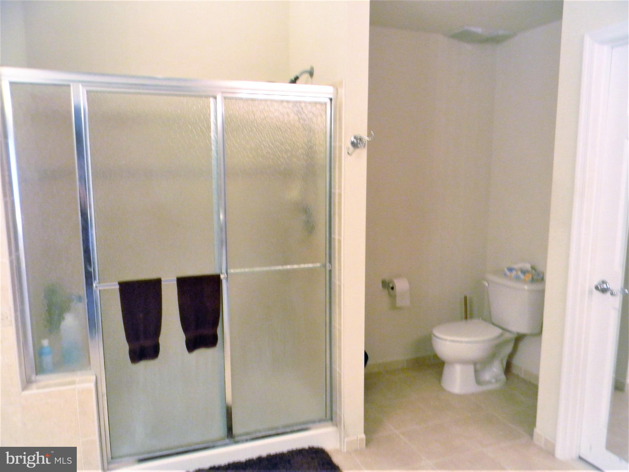19972 Gleedsville Road Leesburg, VA 20175 - Photo 15 of 30 Bath (Master) Separate Shower