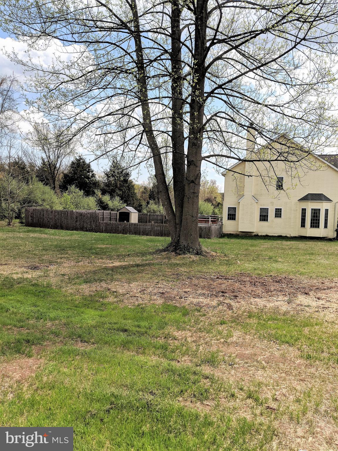 19972 Gleedsville Road Leesburg, VA 20175 - Photo 30 of 30 View of side yard