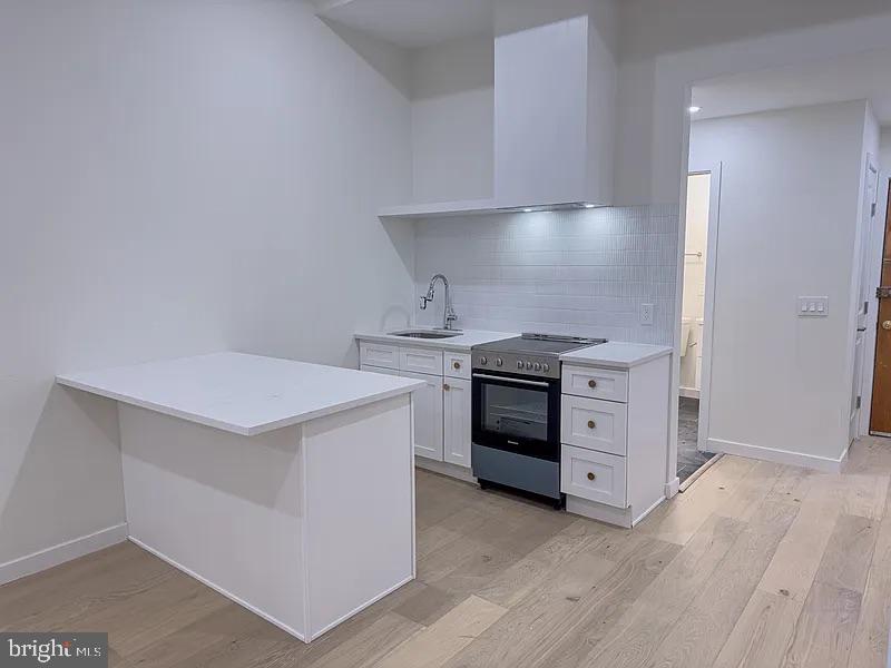 2017 Green Street, Unit 2R Philadelphia, PA 19130 - Photo 10 of 14