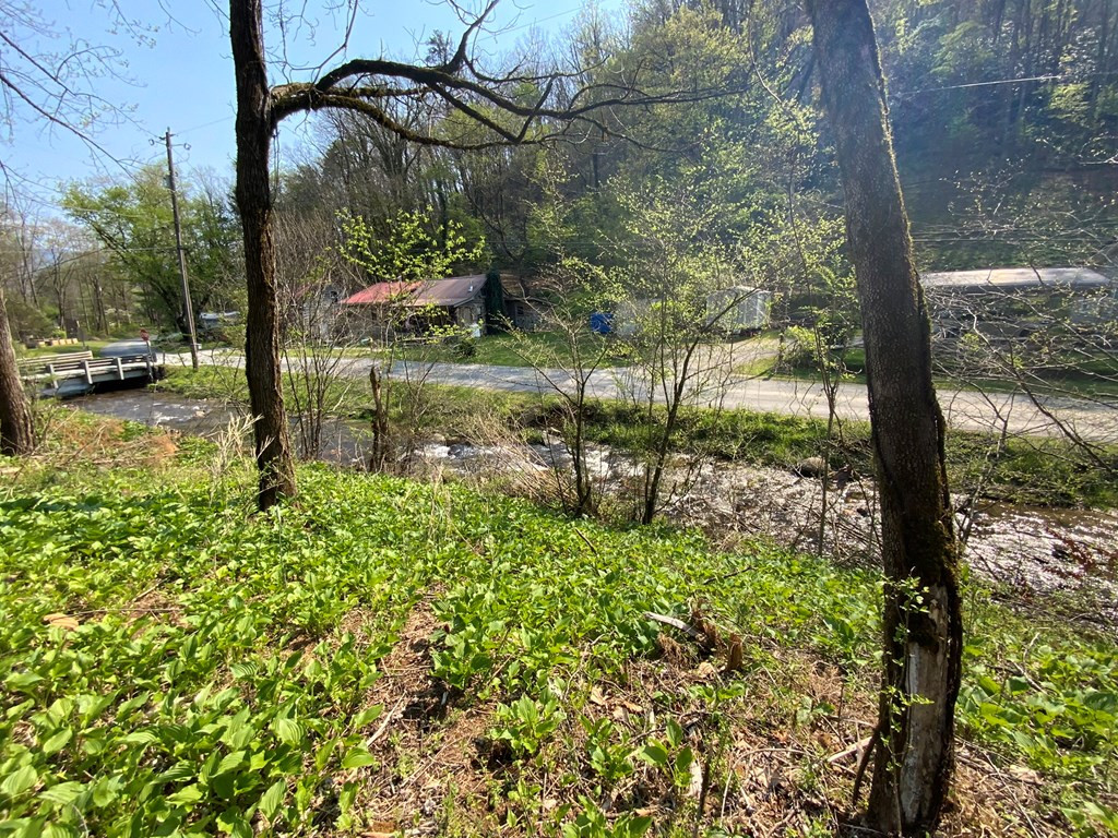 1000 Hyatt Creek Road Marble, NC 28905 - Photo 11 of 15