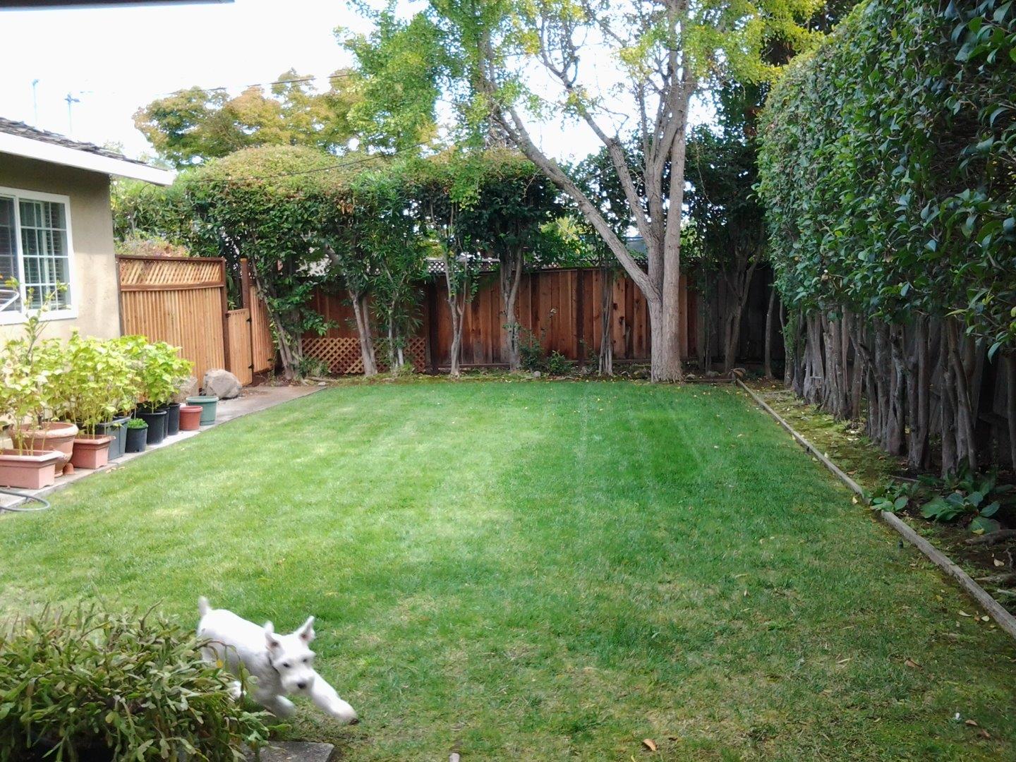 22412 McClellan Road Cupertino, CA 95014 - Photo 3 of 17