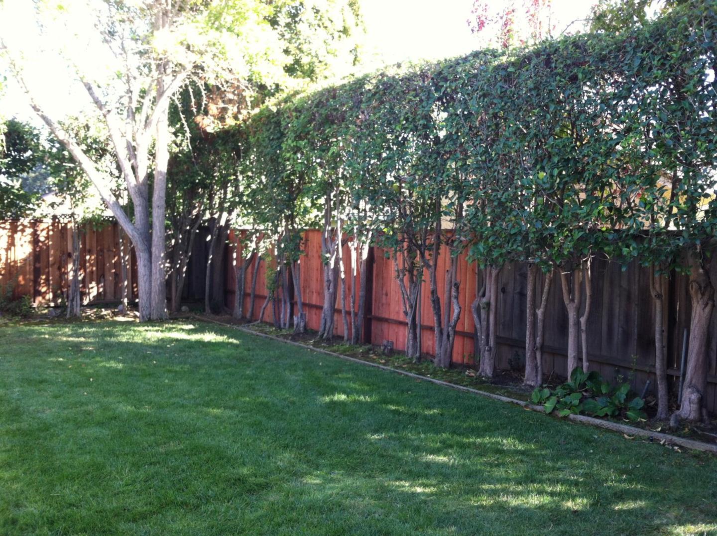 22412 McClellan Road Cupertino, CA 95014 - Photo 5 of 17