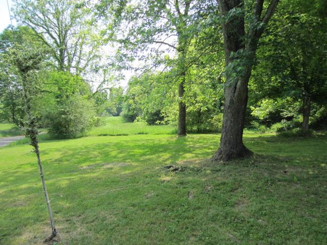 155 Buzzard Cave Road Waverly, TN 37185 - Photo 16 of 17 Long road frontage