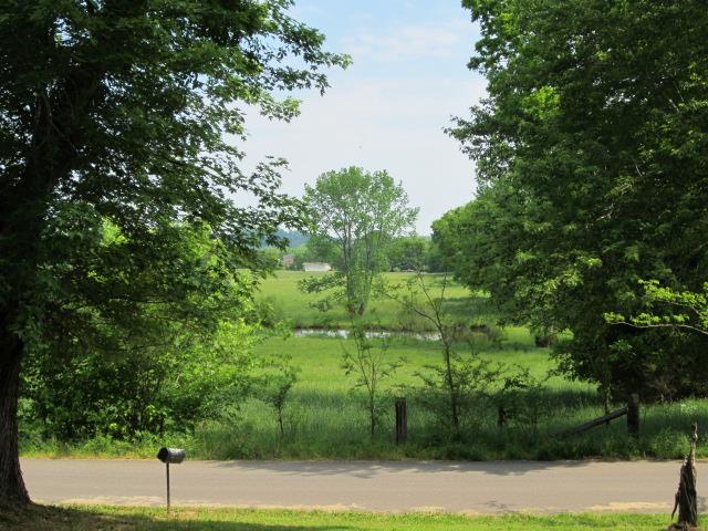 155 Buzzard Cave Road Waverly, TN 37185 - Photo 3 of 17 View from Front Porch
