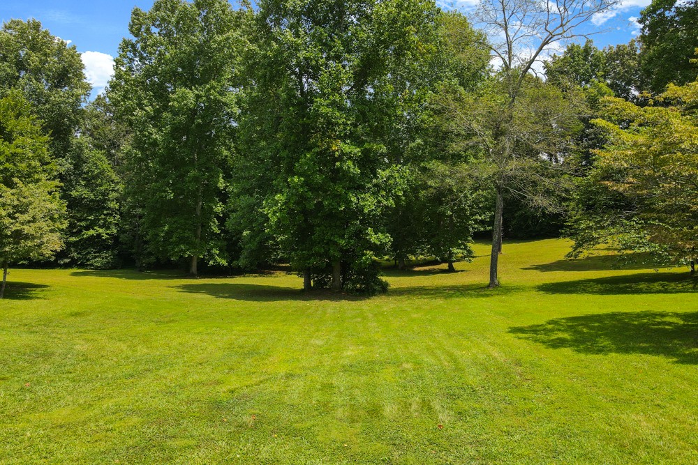 105 Spicer Road Burns, TN 37029 - Photo 38 of 44 a view of yard with swimming pool and trees