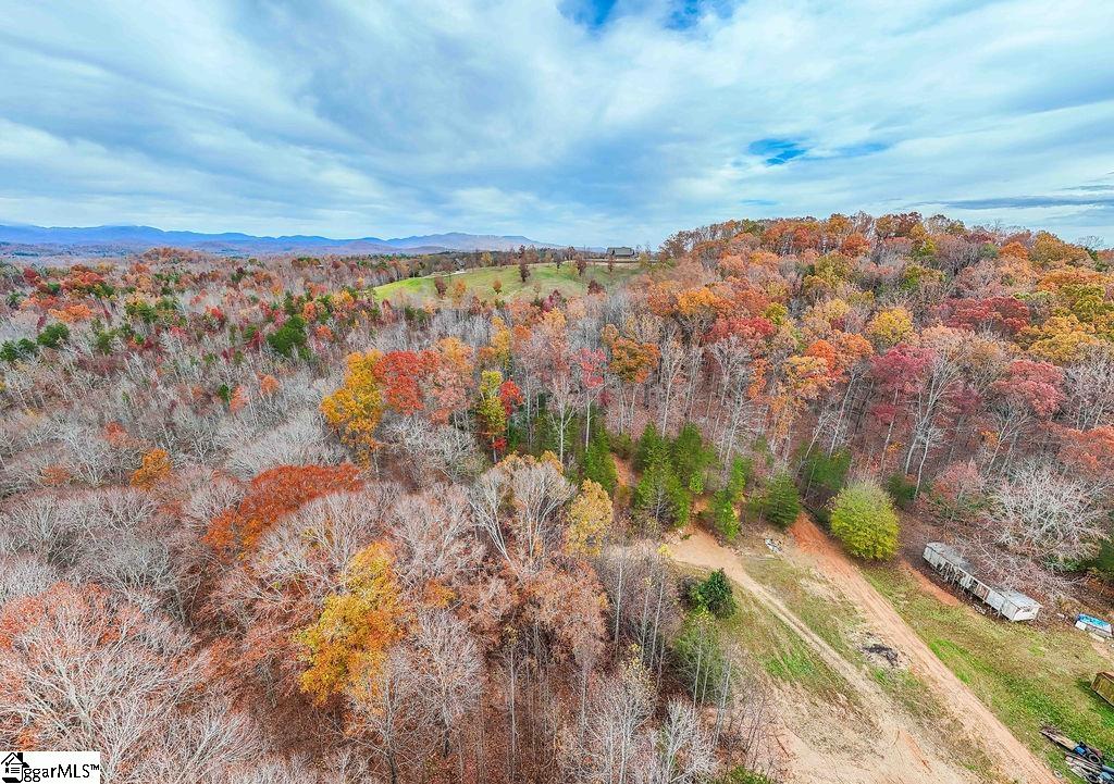 Coleman Trail Travelers Rest, SC 29690 - Photo 5 of 23