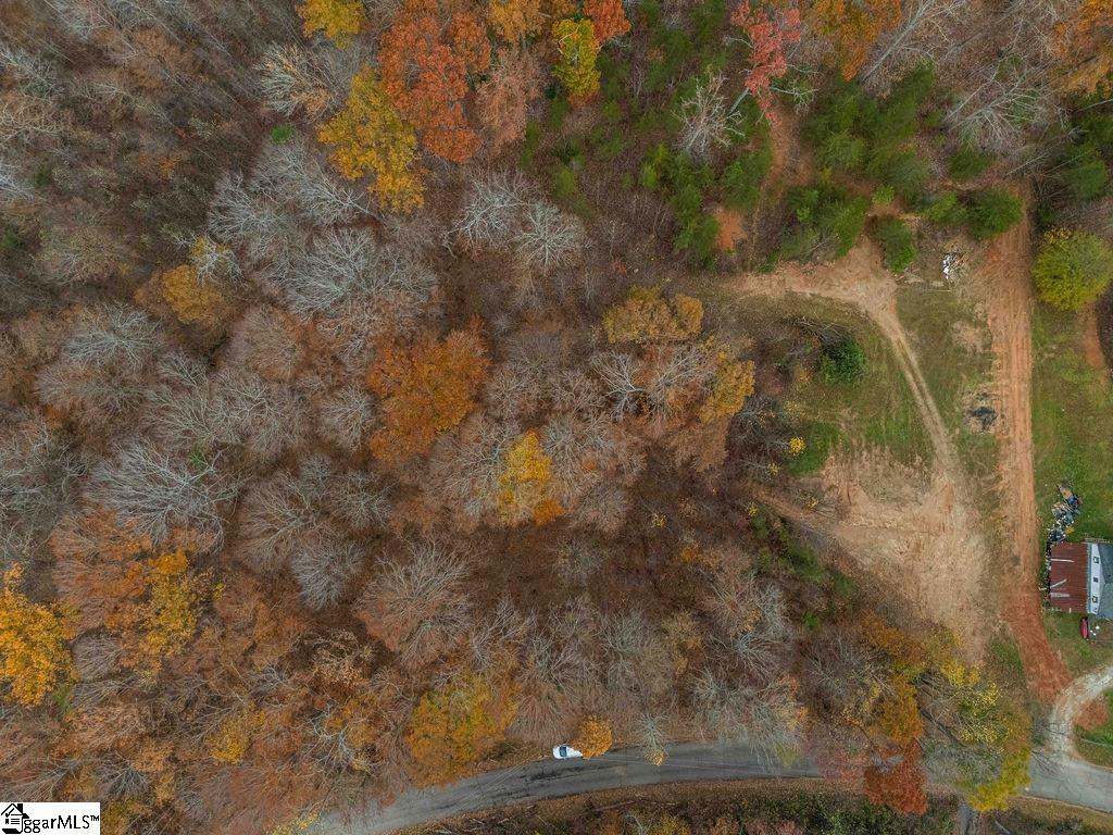 Coleman Trail Travelers Rest, SC 29690 - Photo 6 of 23