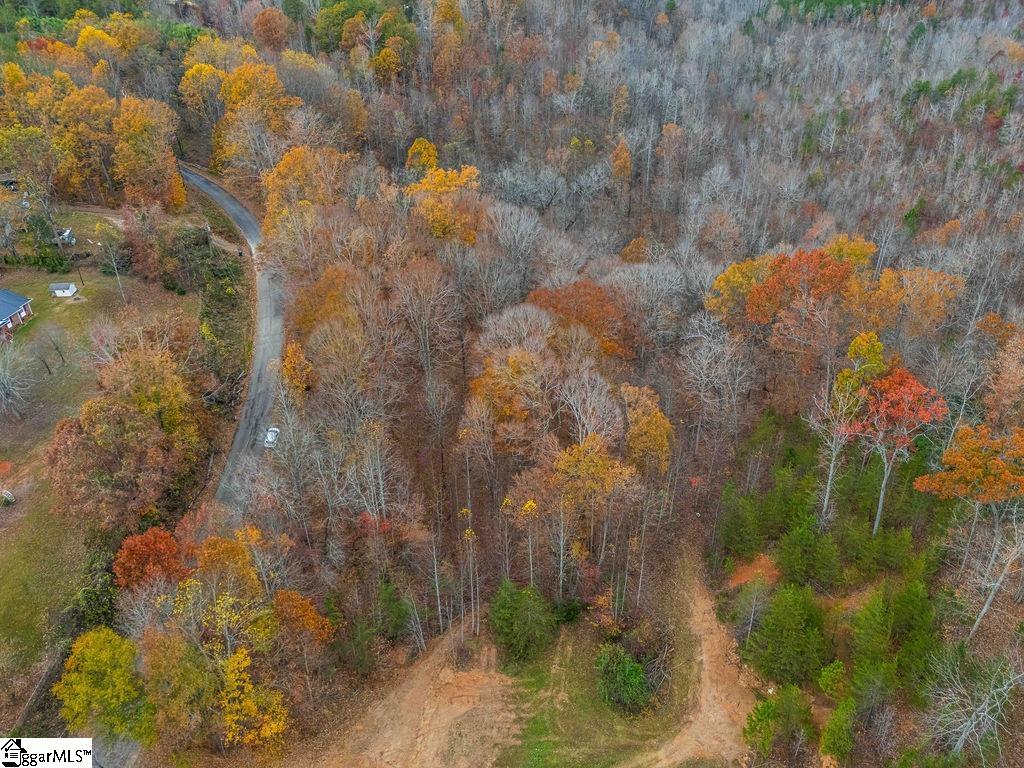 Coleman Trail Travelers Rest, SC 29690 - Photo 8 of 23