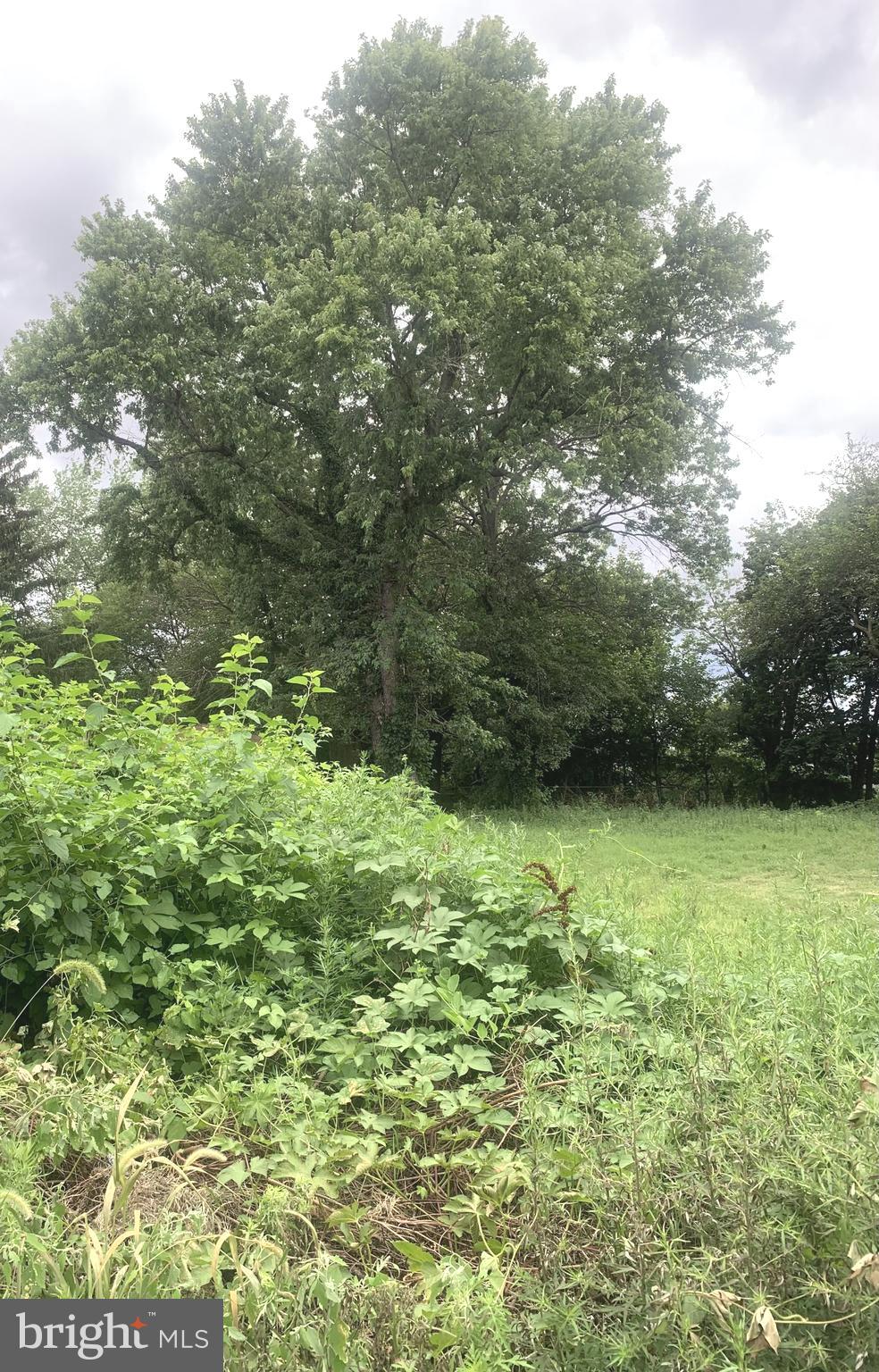 3027 Morrison Street Camden, NJ 08105 - Photo 2 of 2