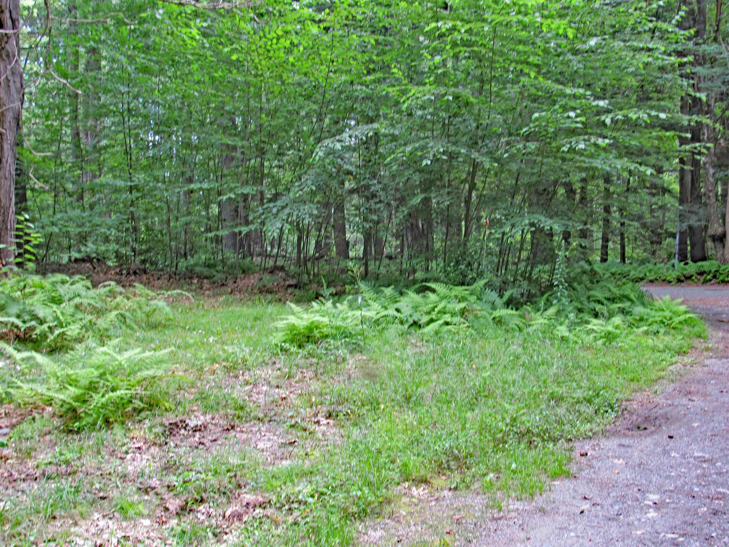 44 Mountain View Road Putney, VT 05346 - Photo 5 of 16