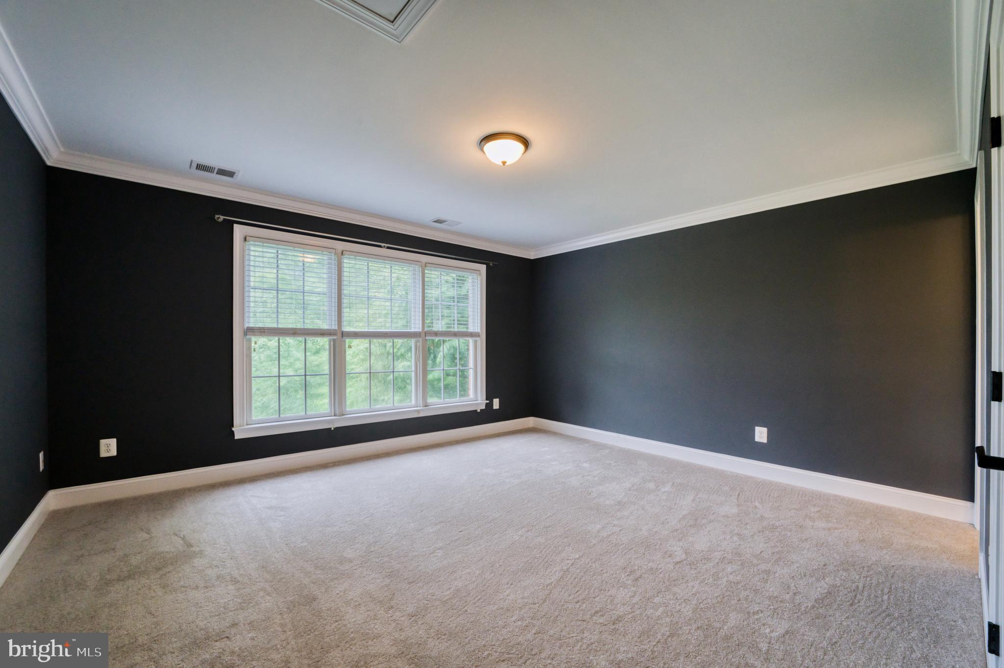 511 Broad Stream Lane Riva, MD 21140 - Photo 49 of 92 Fourth bedroom suite