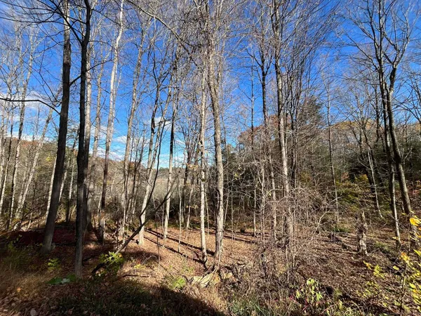 a view of a backyard of the house