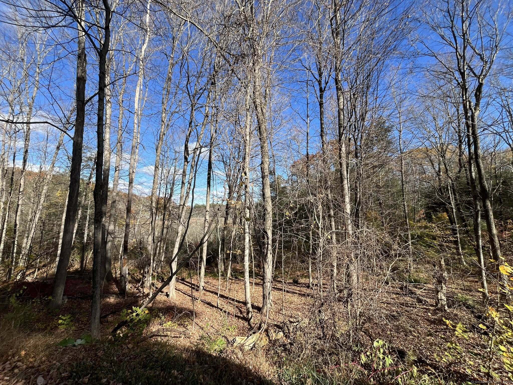 200 West West Hill Road Barkhamsted, CT 06063 - Photo 9 of 25 a view of a backyard of the house