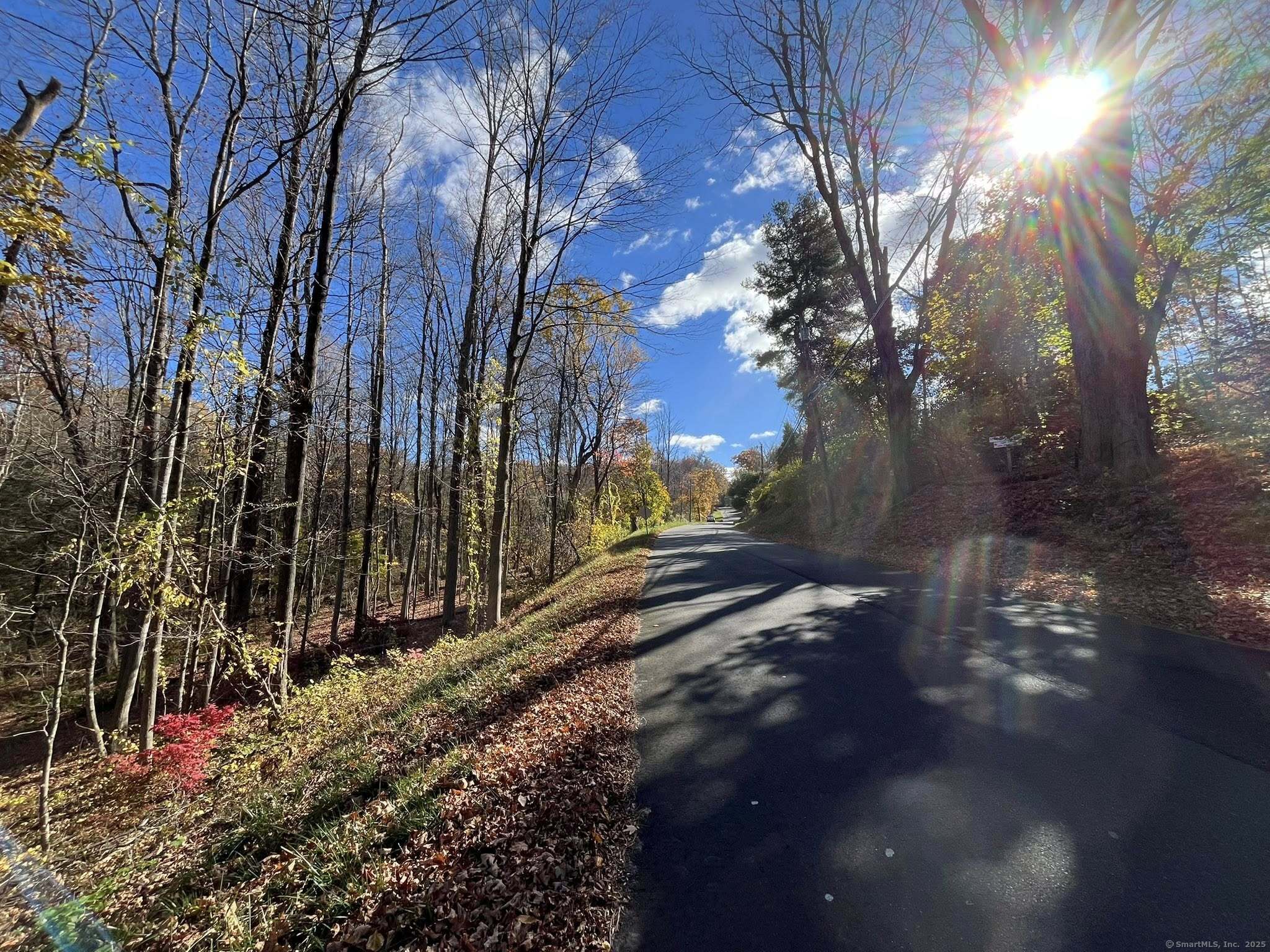 200 West West Hill Road Barkhamsted, CT 06063 - Photo 9 of 25 a view of a backyard of the house