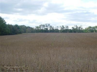 A East Elm Valley Road Buchanan, MI 49107 - Photo 2 of 5 Picture of Elm Valley land