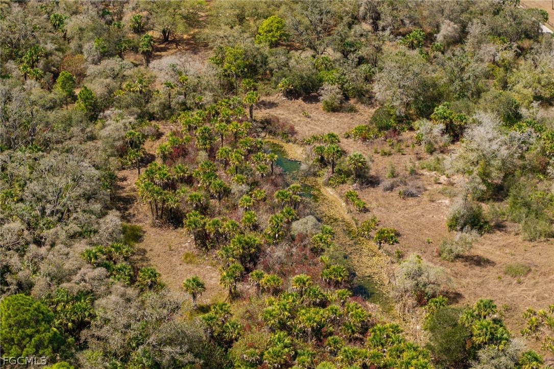 3751 Bateman Road Alva, FL 33920 - Photo 21 of 26 a view of a covered with green space