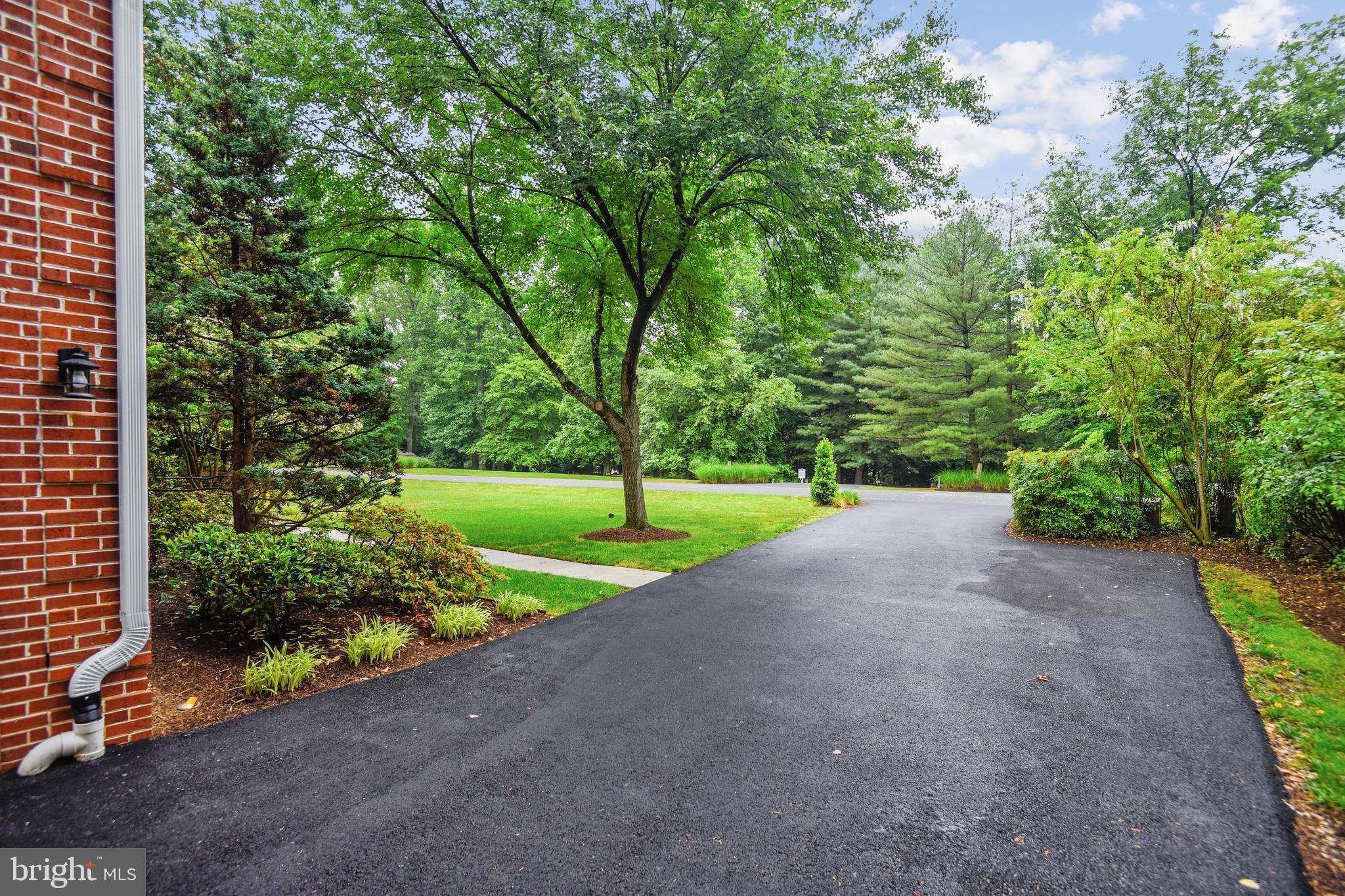 42 Poplar Point Road Edgewater, MD 21037 - Photo 59 of 63 View from driveway