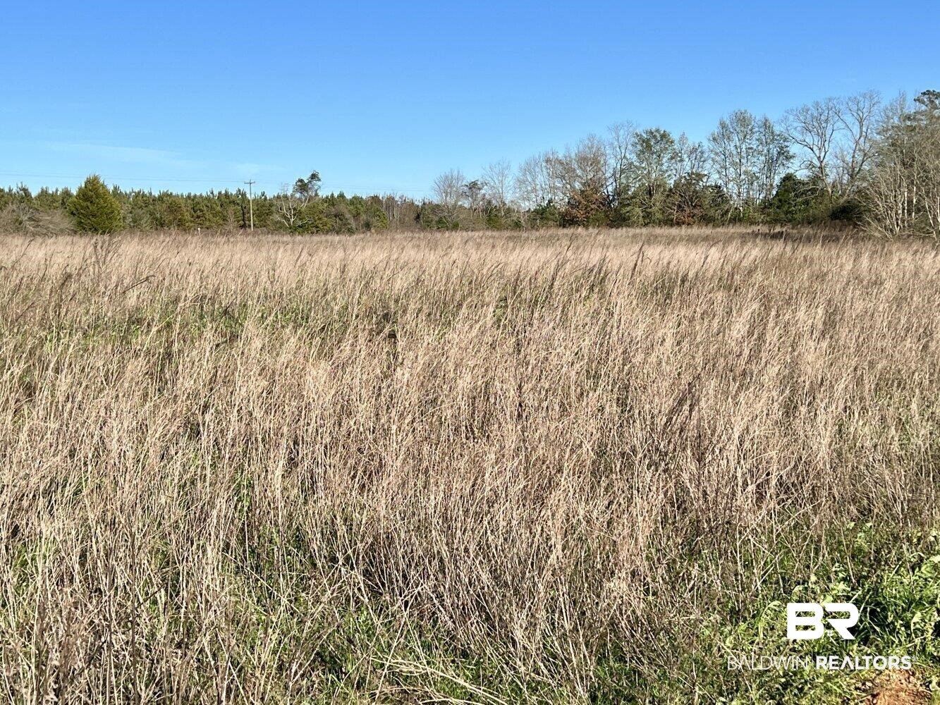 0 Highway 84 Evergreen, AL 36401 - Photo 10 of 50