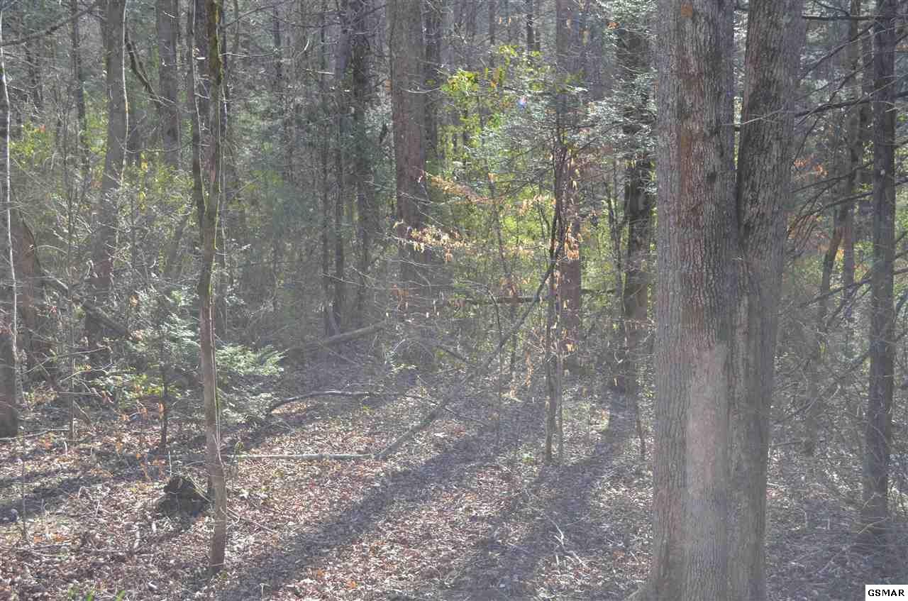 0 Tom Henry Road Townsend, TN 37882 - Photo 3 of 5 Gallery Image 3