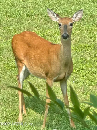 $1,645,000 | 224 Vista Della Toscana, Ormond Beach, FL 32174