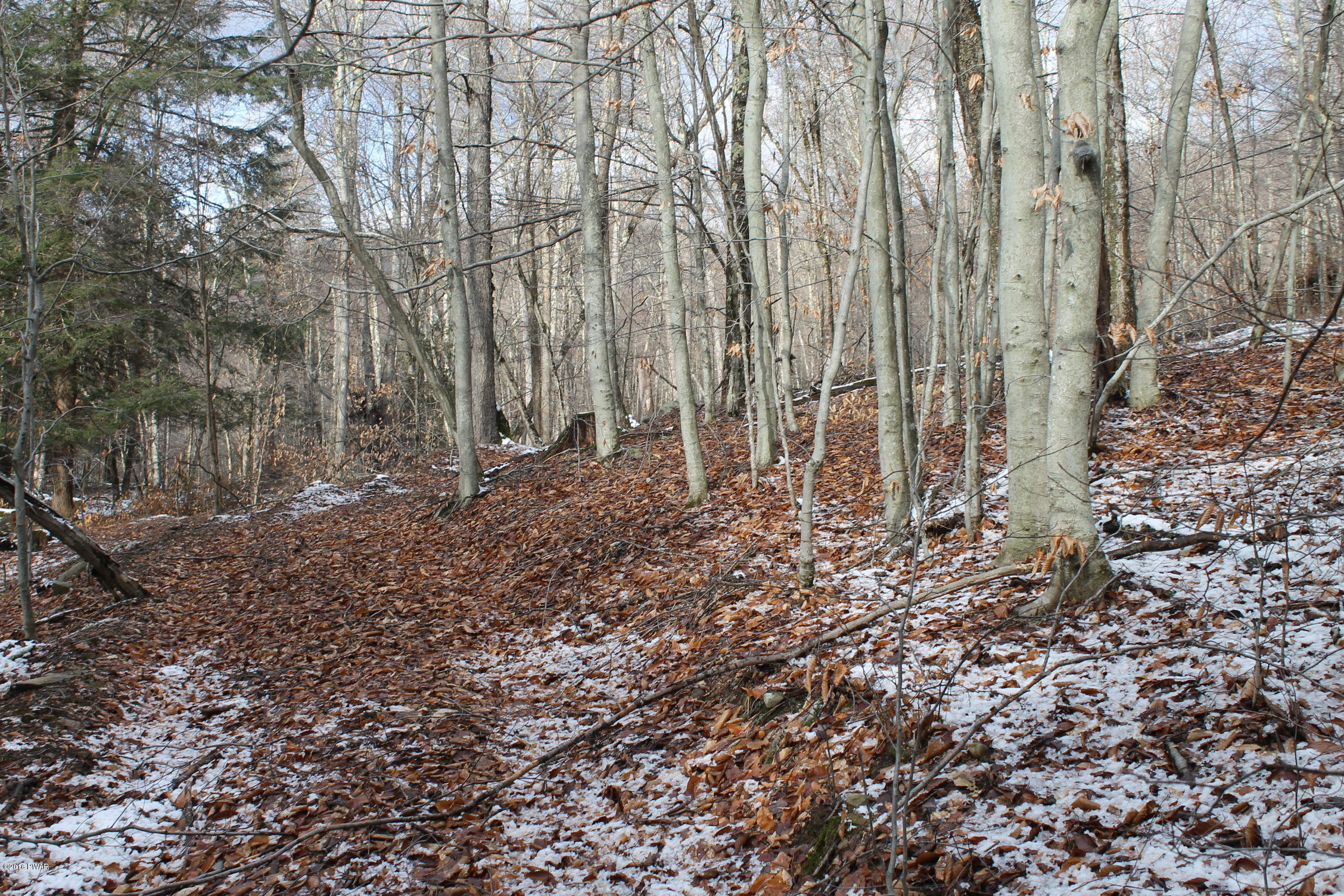 Rd Road East Branch, NY 13756 - Photo 3 of 9