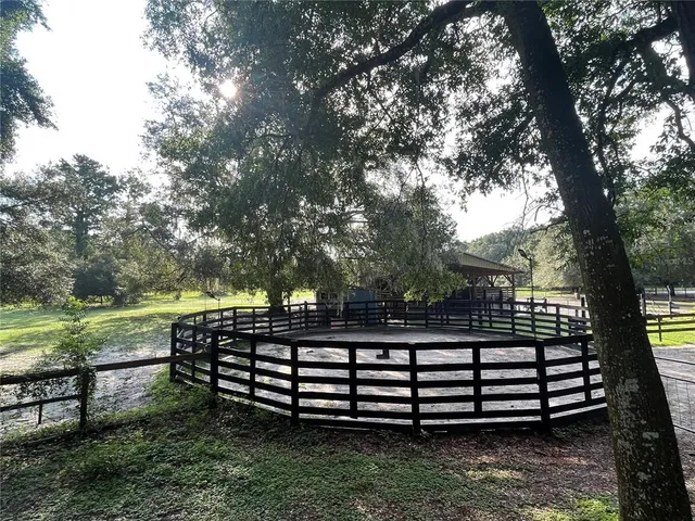 a view of a wooden bench and trees in the background