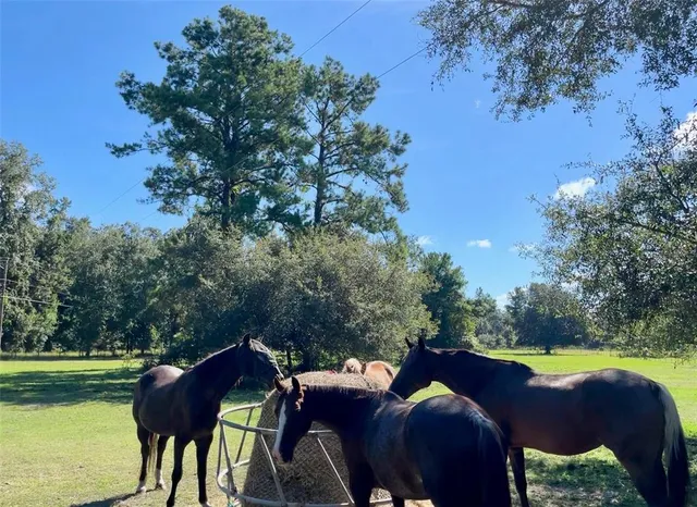 a view of a swimming pool and lake view
