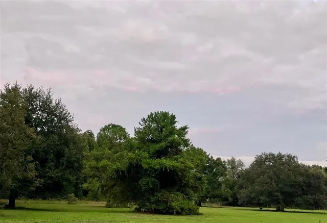 a backyard of a house with lots of green space and garden