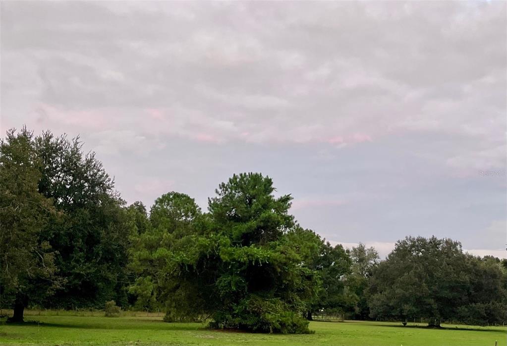 Southwest 107th Street Archer, FL 32618 - Photo 7 of 25 a backyard of a house with lots of green space and garden