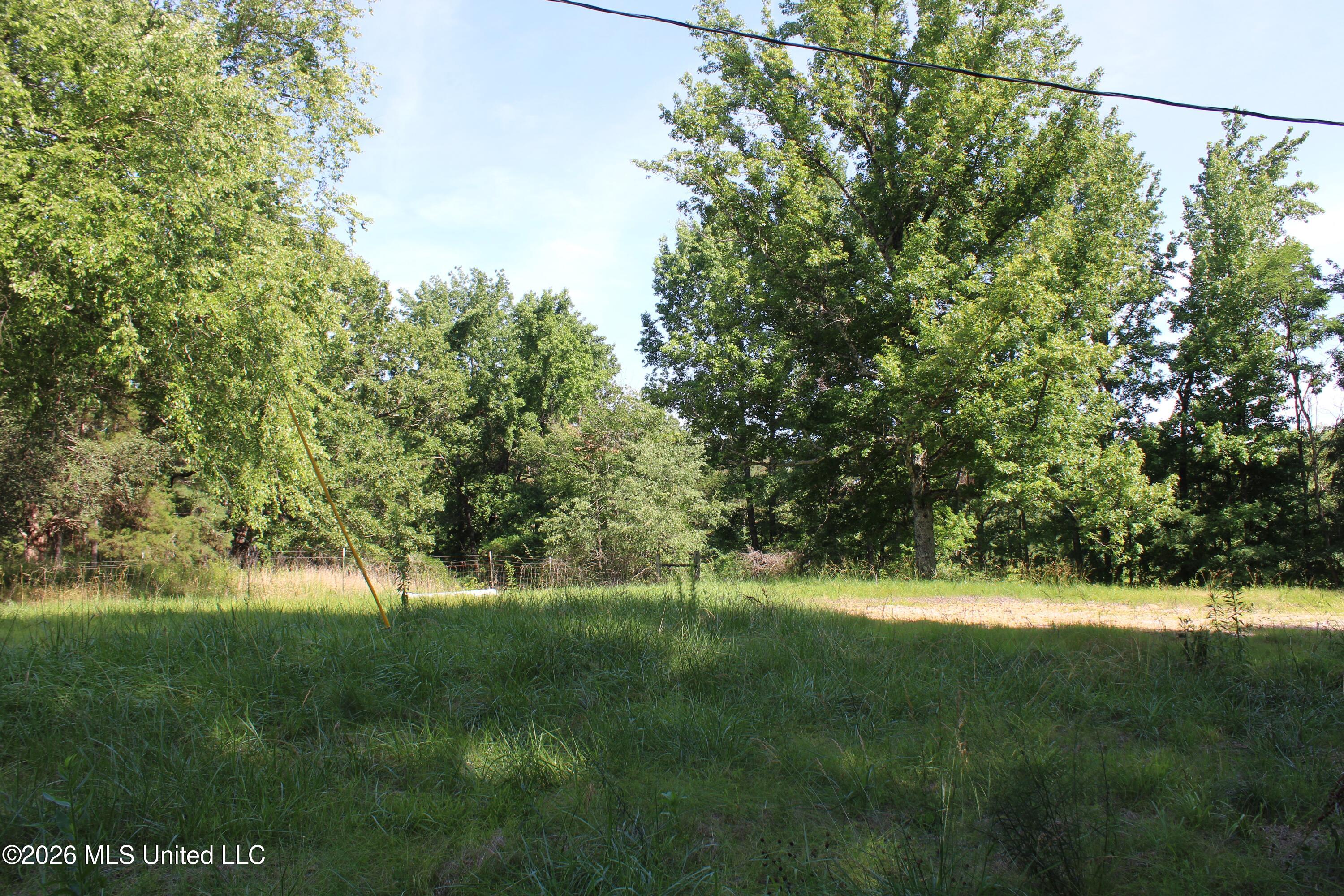 665 Briscoe Road Holly Springs, MS 38635 - Photo 16 of 18 IMG_7929