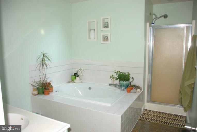 11707 Walnut Point Road Hagerstown, MD 21740 - Photo 13 of 30 Bath (Master)