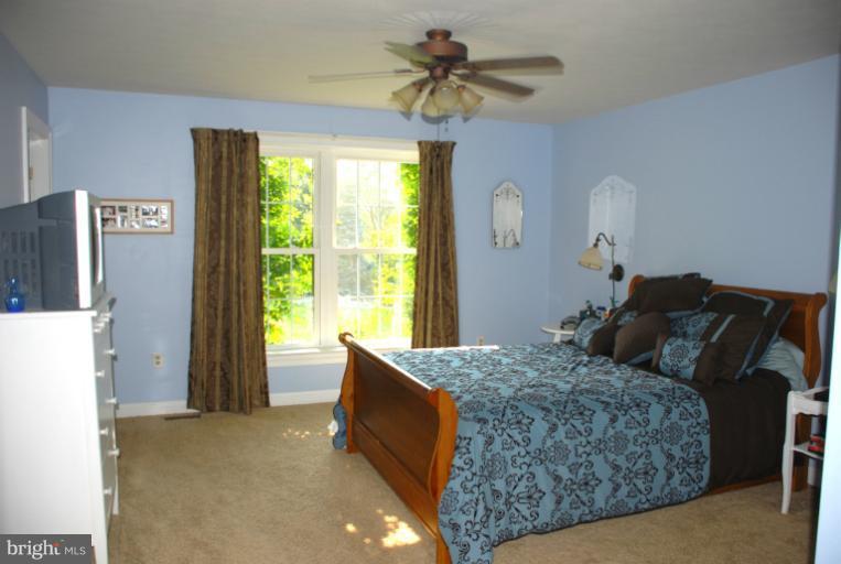 11707 Walnut Point Road Hagerstown, MD 21740 - Photo 24 of 30 Bedroom (Master)