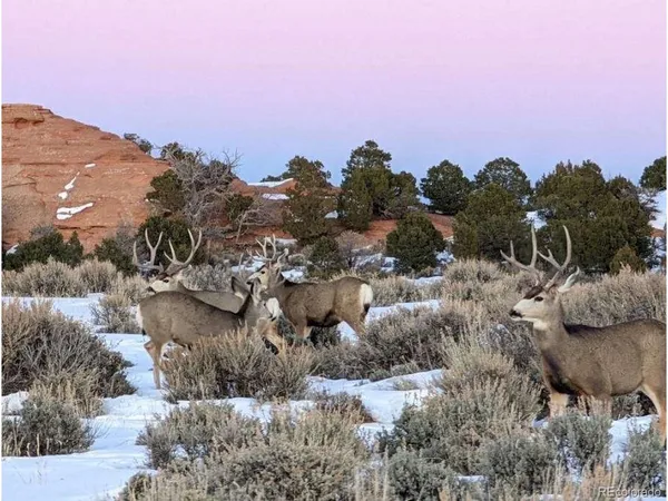 a black and white photo of a room