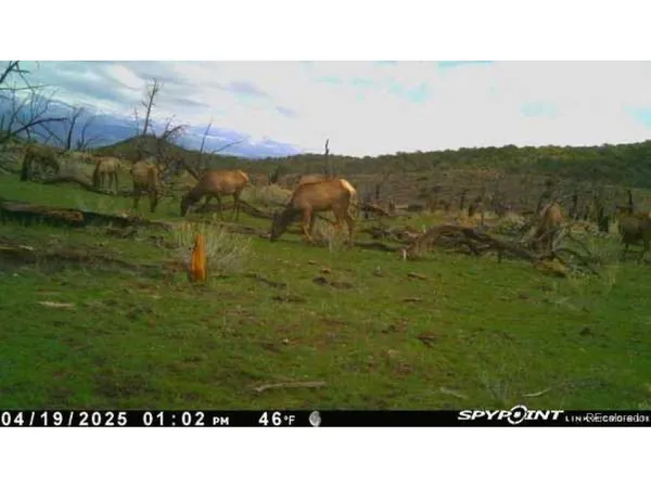 a view of a outdoor space